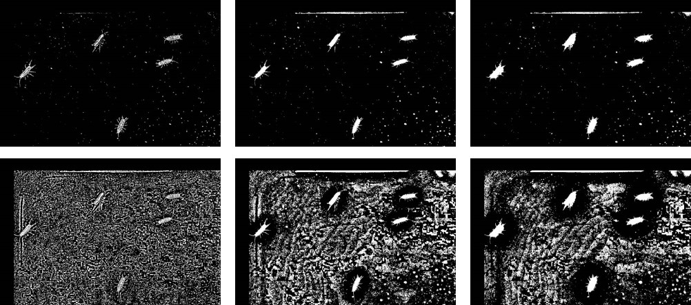 ../../_images/isopod-coutning_thresholding.jpg