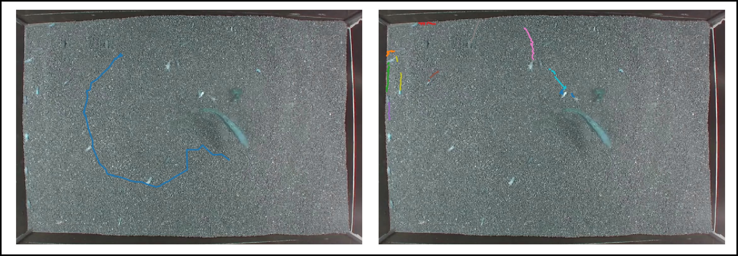 ../../_images/output_motion-tracking.jpg