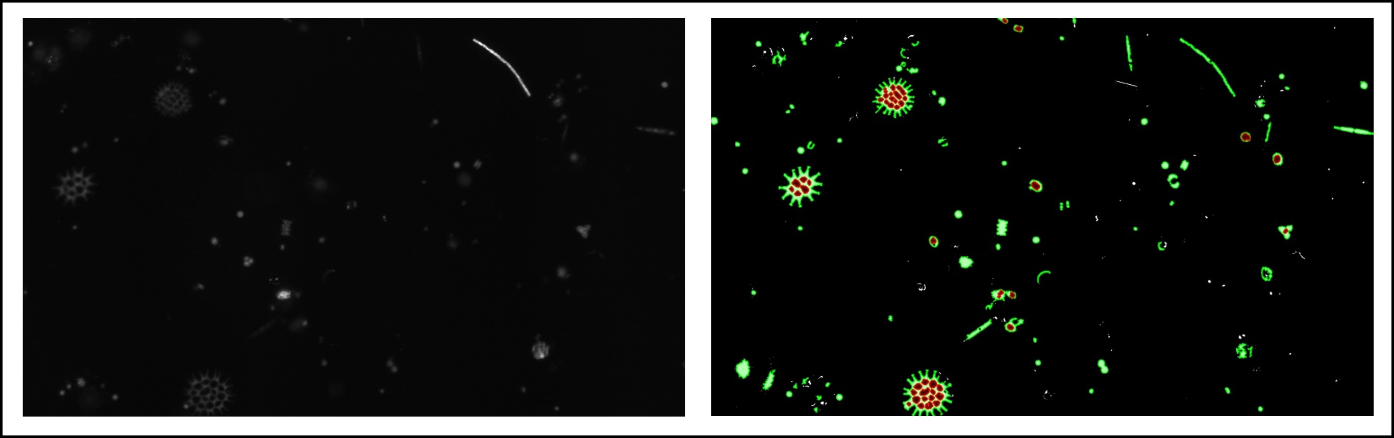 ../../_images/output_phytoplankton-fluorescence.jpg